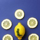 레몬세탁 이미지