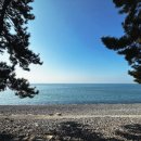 나로캠핑장 이미지