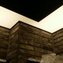 올리몰스 펫샵 이미지