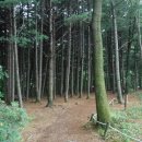 별천지공원-2 이미지