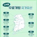 천제연 담팔수나무 이미지