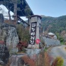 산장약수터흑염소 | 여항산산장 흑염소 전골 후기, 육수 시원함이 그대로 느껴진 함안맛집