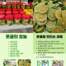 종철농장 이미지