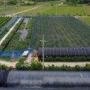 대환 농장 이미지