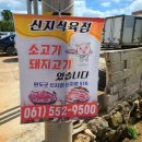 신지식육식당