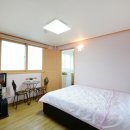 몽산포파인 이미지