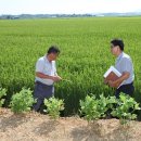 성산3리 이미지