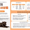 헬릭스동물심장수술센터 이미지