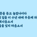 승리하는교회 앞 티스토리