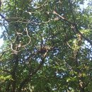 매향농장 이미지