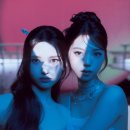 도드리 카카오 검색결과