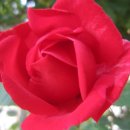 부안고등학교 이미지