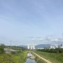 주막촌 | 대구 사문진나루터 사문진주막촌 메뉴 추천 운영시간