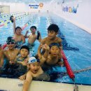 경희키즈풀 이미지