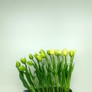 현대장식 이미지