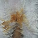 한강동물약품 이미지