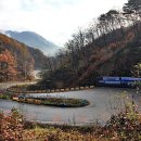 여우목 고개 이미지