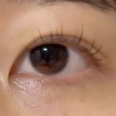 프롬에스스튜디오 이미지