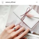 청담-146 이미지