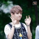 나도미 Daum카페