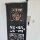 살랑더테일 | 인천 파충류샵 리치맨인천점 인천게코분양