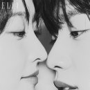 부르네 이미지