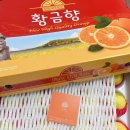 변동청과 이미지