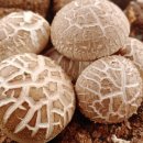 상촌농장 이미지