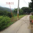 서구-02-04 이미지