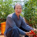 용사이발소 매일신문