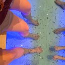 닥터피쉬 | 부산 샌텀 스파랜드 닥터피쉬 가격 및 후기