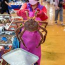 대신수산 이미지