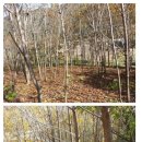 웅이네 농장 이미지