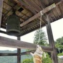 천년의비빔밥 이미지