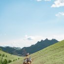 스타트레블 이미지