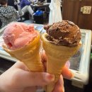 상대동-5 | 대전 상대동 [5.5 닭갈비]-웨이팅 노포맛집 | 치즈폭탄닭갈비, 한라산볶음밥 후기