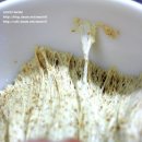 현미밥과 함께 반죽하는 최고의 건강통밀식빵 이미지