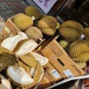 물고기배속에과일