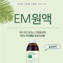 로하스에버 이미지