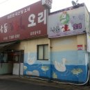 낙동생오리 이미지