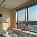 동산가스 | 계명대 동산병원 제왕절개 출산후기 (3인실, 5박 6일 입원비용, 배진곤 교수님)
