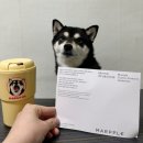 퇴근길, 힐링 색연필 드로잉 | 맞춤제작텀블러 제작 엔젤드로잉 반려동물 굿즈 솔직후기