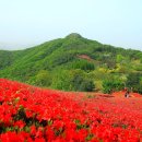 영인산자연휴양림 이미지