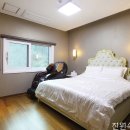 젠스타일 이미지