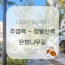 세븐일레븐 일산은행마을점 | [고양시 일산서구] 주엽동 ~ 정발산동 은행나무 길 산책 (강선마을, 1기 신도시)