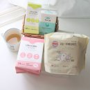 나은 움직임 연구소 | 춤추는고래 프리미엄 탑 시트를 적용하여 산뜻한 사용감 오버나이트 팬티라이너 리뷰