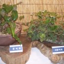 동의중학교 이미지