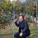 마이스터 이미지