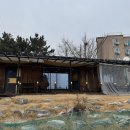 라루체365 이미지