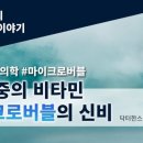 비타민전자 이미지